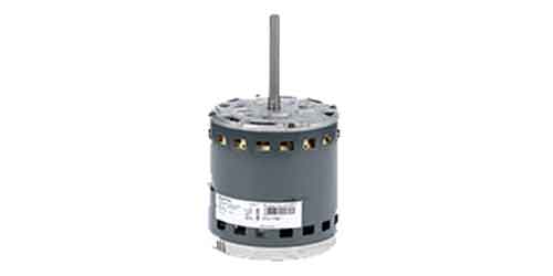Ensite motor image