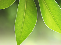 Guide to Energy Efficiency