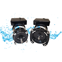 Pool Pump Motors