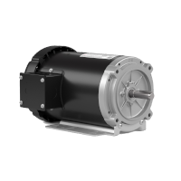 Electric Motors
