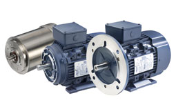 IEC Motors