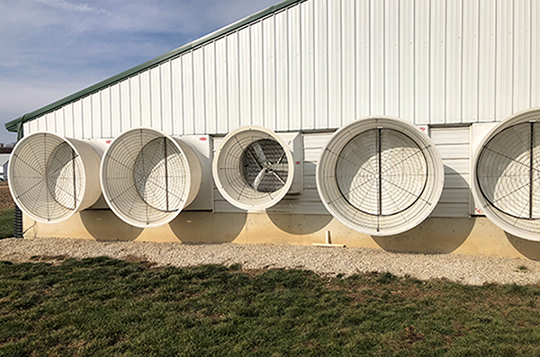 Farm and Agriculture Fan and Blower Motors
