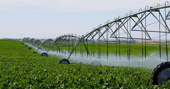 Agriculture and Irrigation
