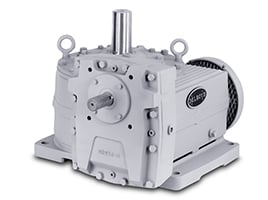 Delroyd Helical Worm Gear