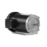 electric motor