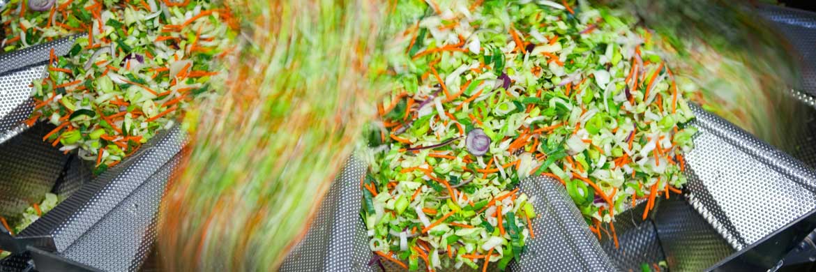 Salad ingredients processed through machinery in packaging plant.