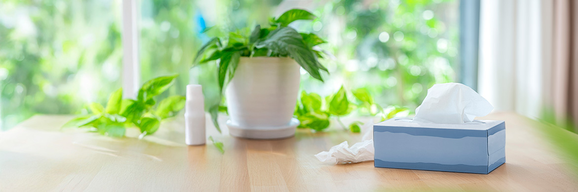 Hero_Tissue Box on table blue extra