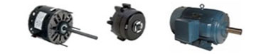Induction Motor Training