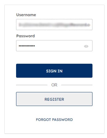 Mobile Login Window