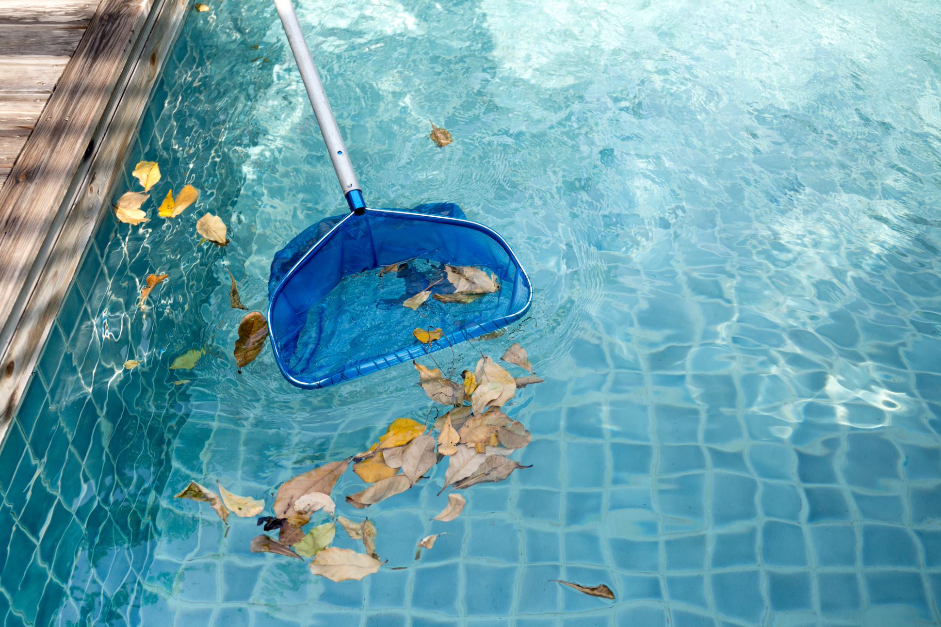 Pool Clean