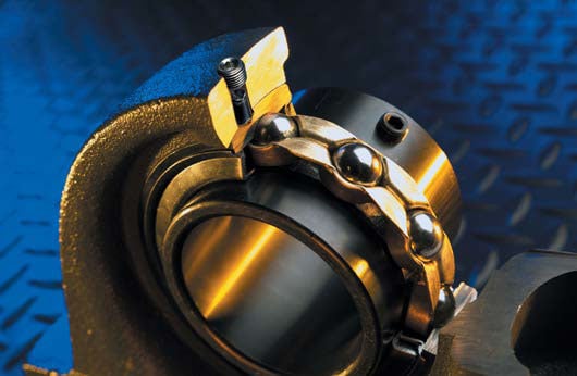The Meaning of Life: Determining Lifespan for "Lubed for Life" Bearings